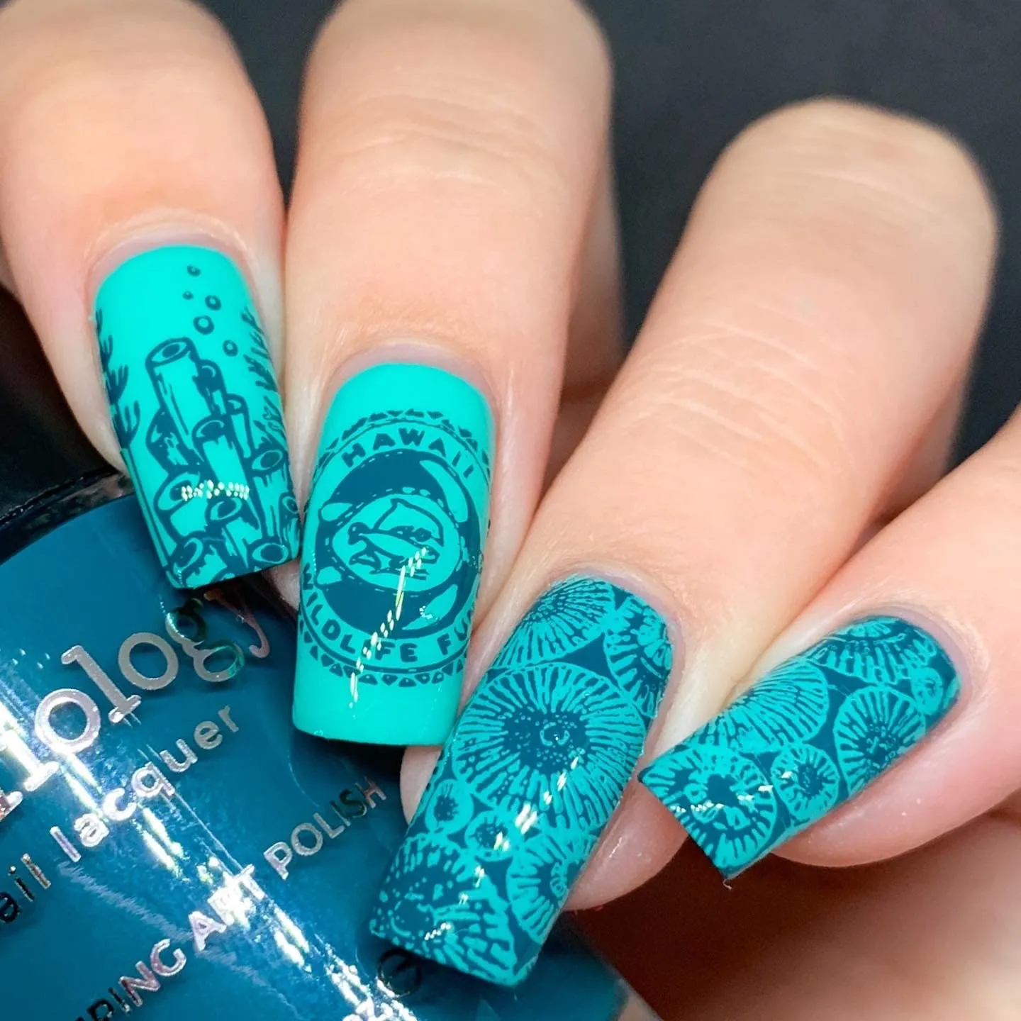 Honu (B391) - Teal Stamping Polish
