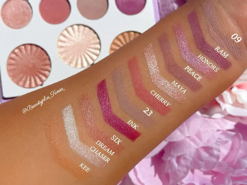 Mini Mix Face Palette - Life's A Draft