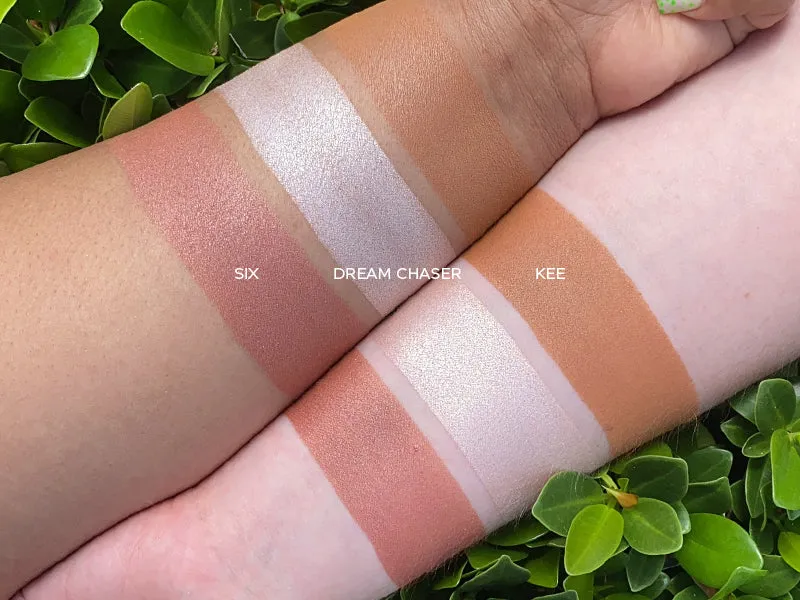 Mini Mix Face Palette - Life's A Draft