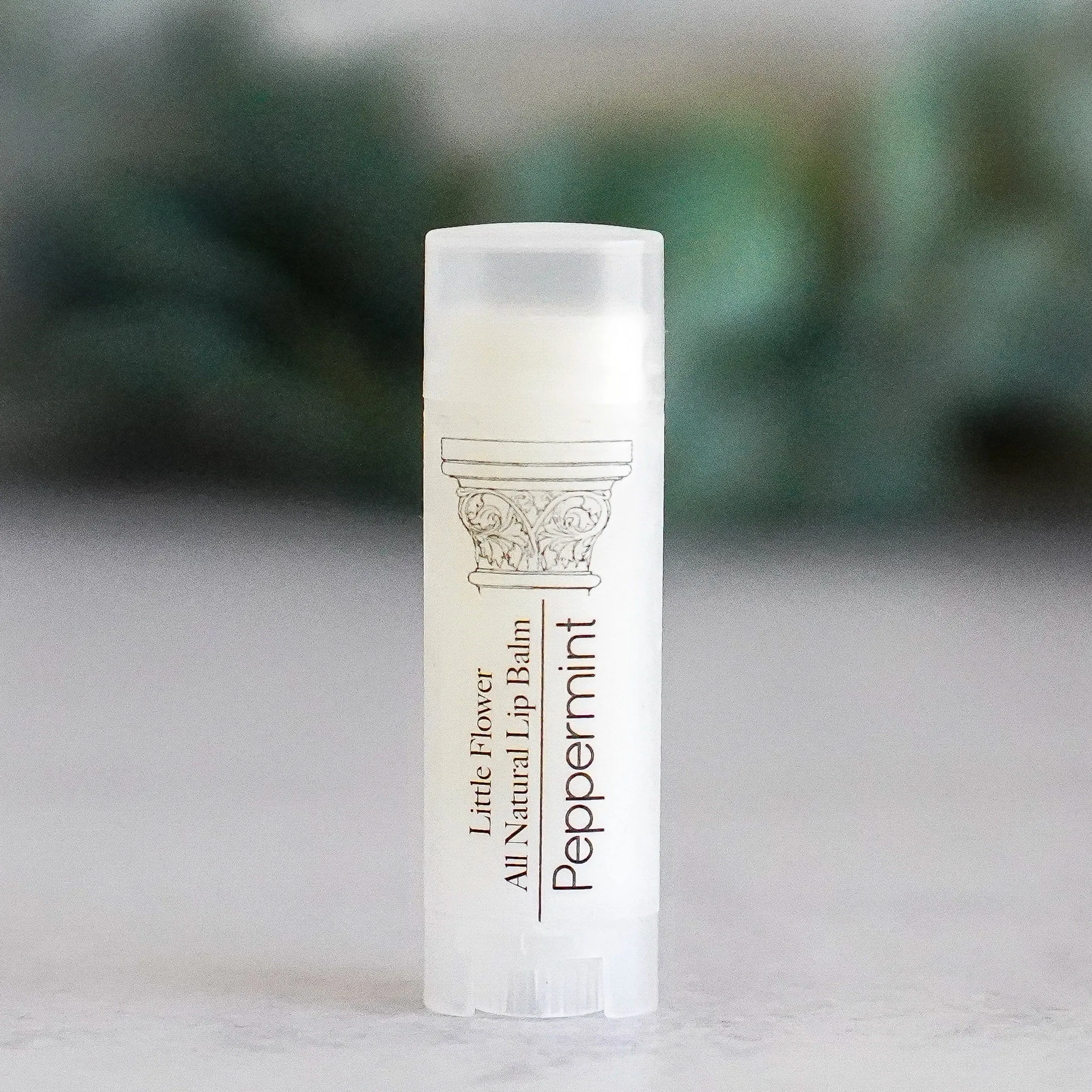Raspberry Lip Balm