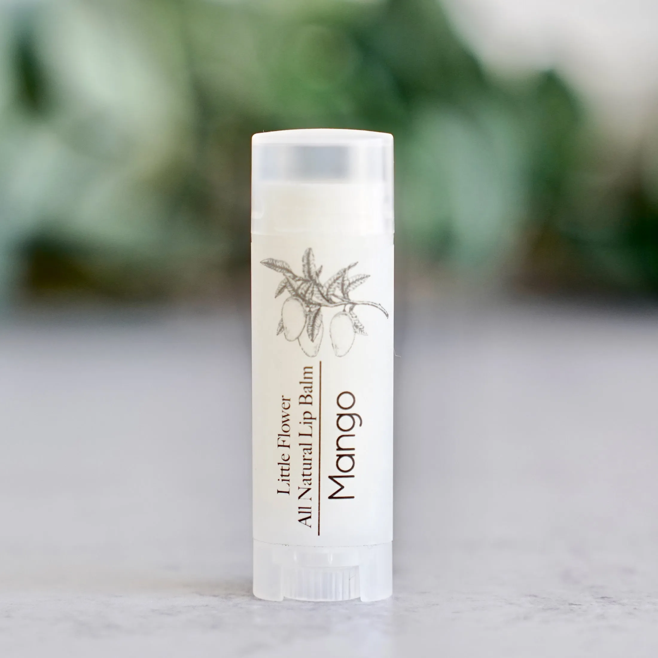 Raspberry Lip Balm