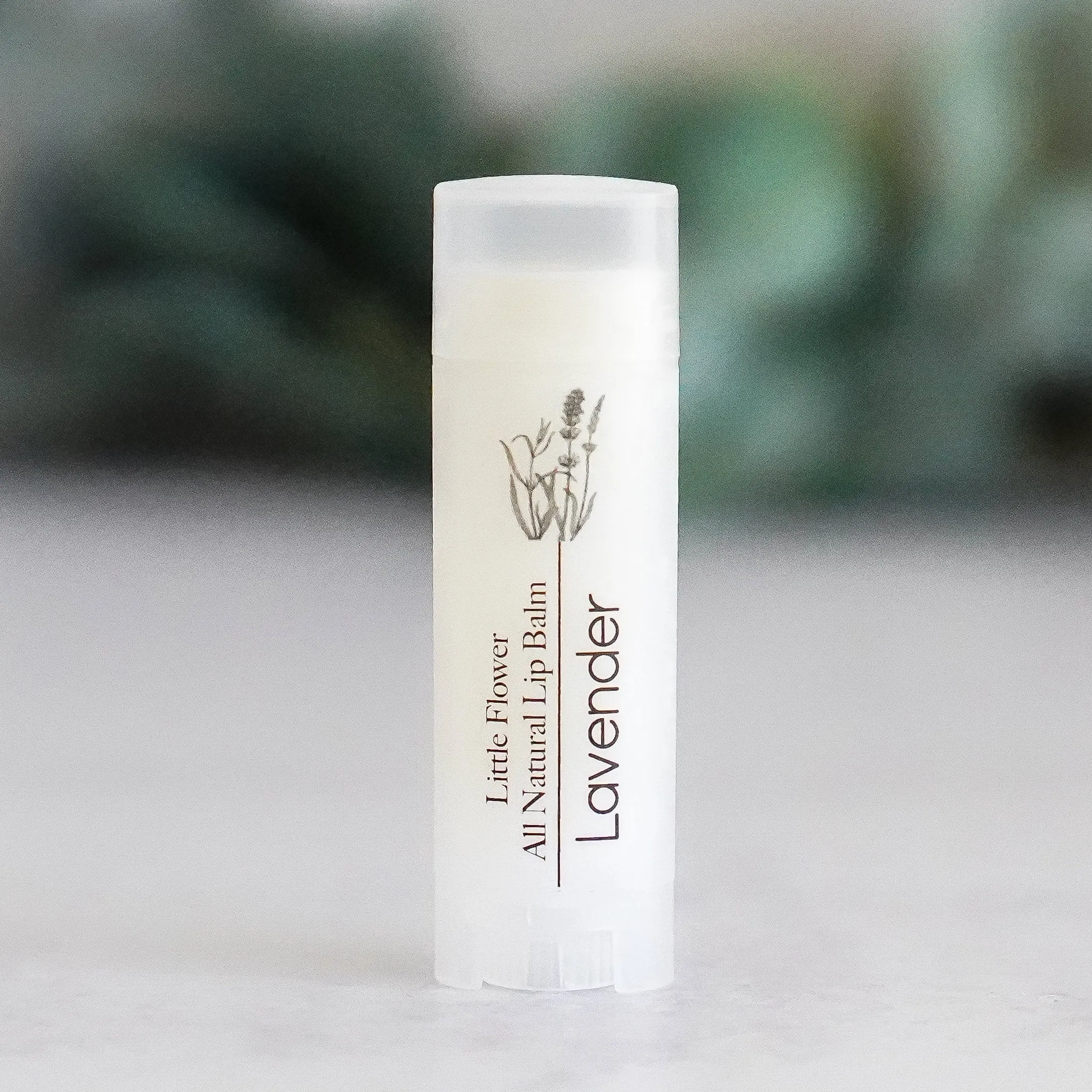 Raspberry Lip Balm