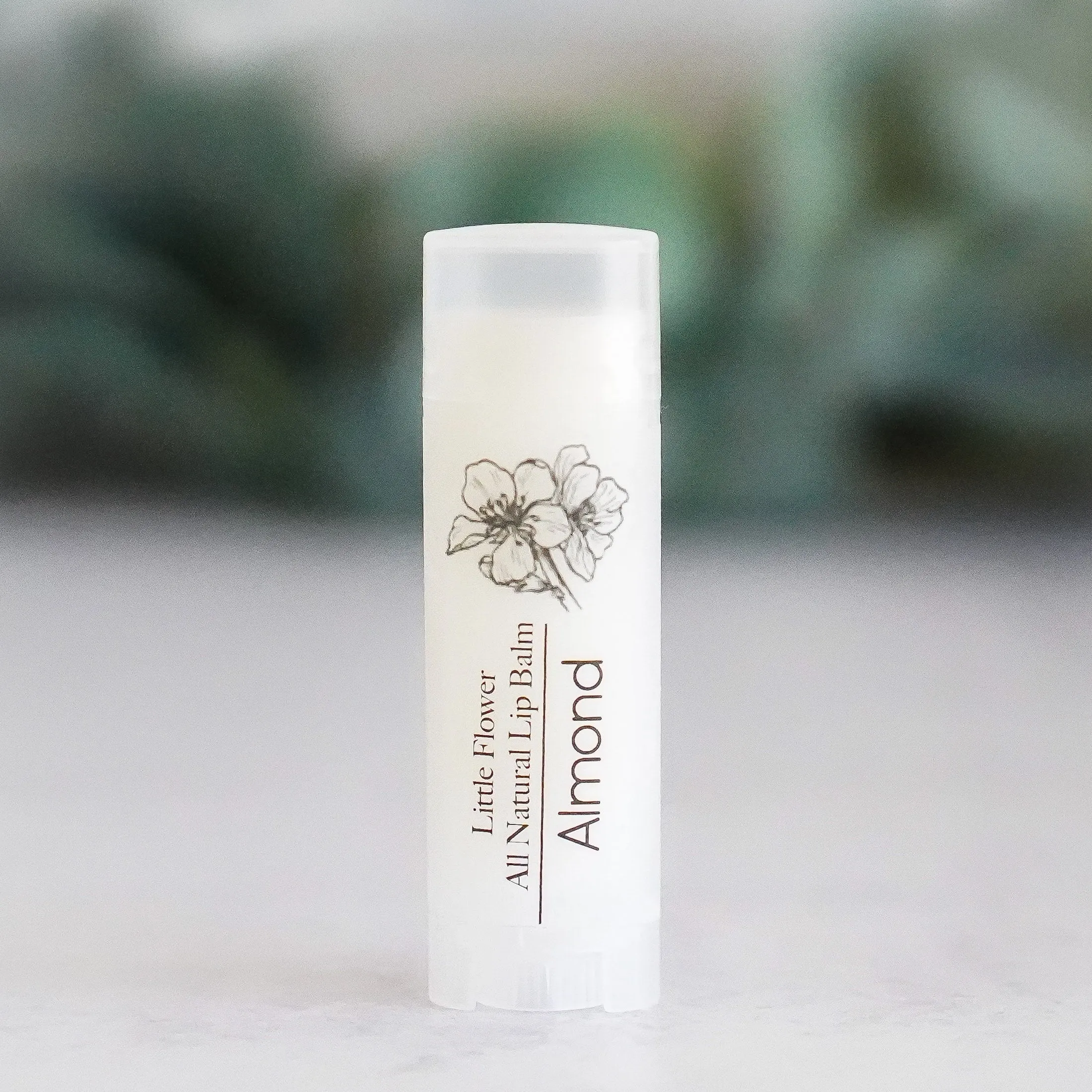 Raspberry Lip Balm