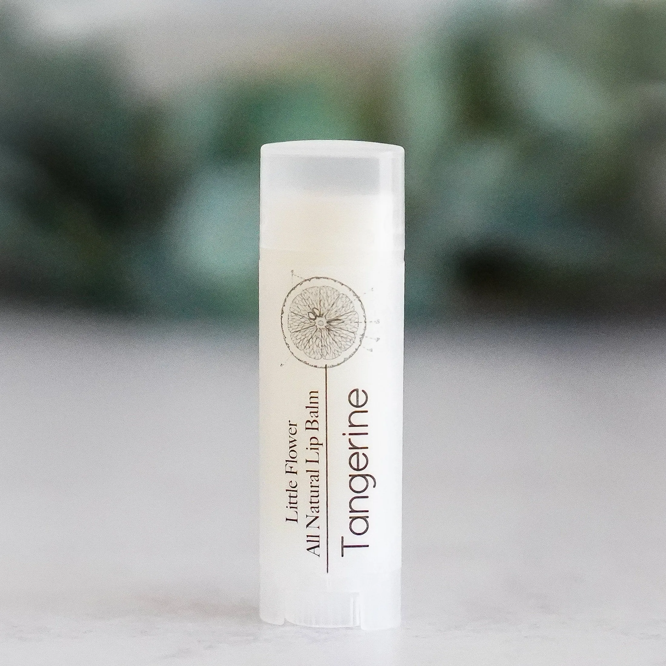 Raspberry Lip Balm